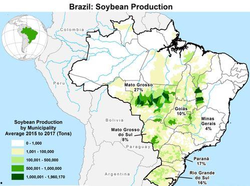巴西规划爆料最新消息,最新动态揭示未来蓝图